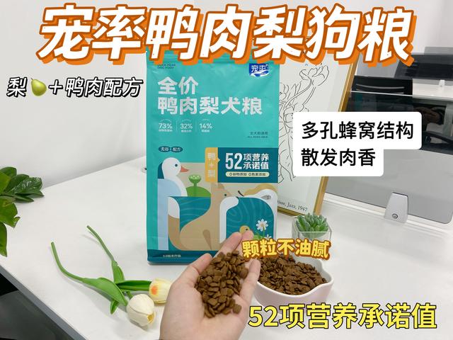 买狗一定“5不养”，不是误导，而是教训和经验