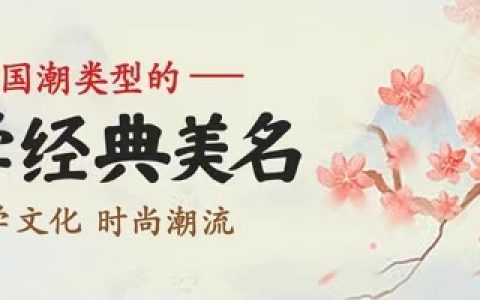 杨姓男孩取名2024龙年_杨姓男孩取名2024龙年出生