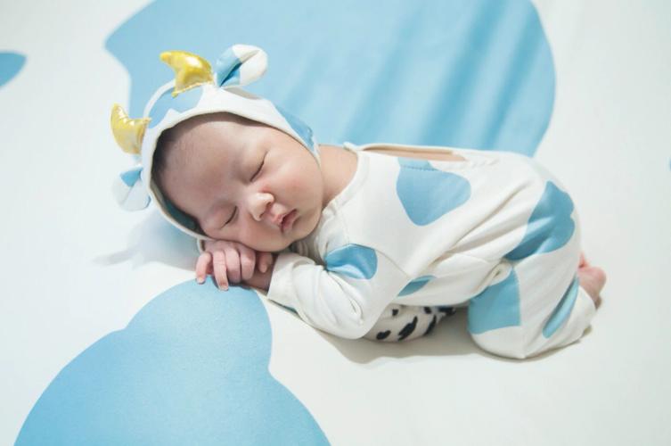 草字头的字都有哪些_草字头的字都有哪些字