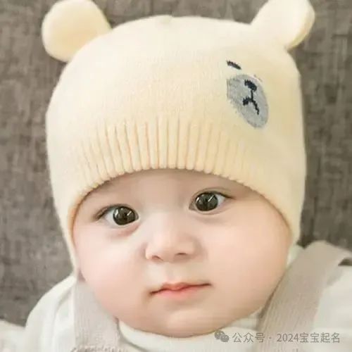 宝宝起名大全免费取名100分最新超准！！