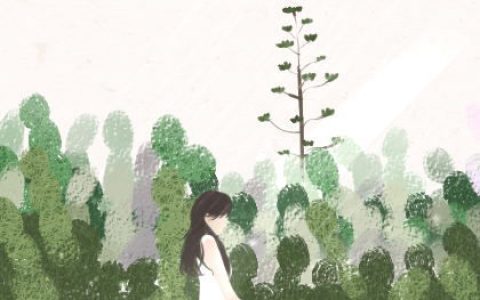 赵姓女宝宝的起名大全