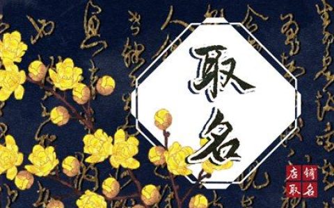 腊月出生的孩子取名 有福气的宝宝名字