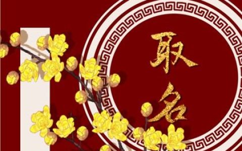 2022年12月生的女宝宝五行八字如何 五行起名
