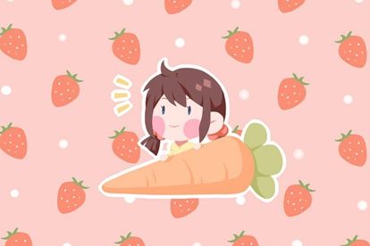 以荷为主题的名字 荷字开头的名字