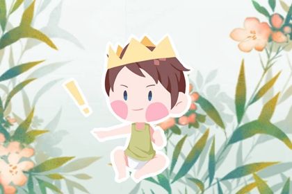 2022年除夕出生的男宝宝名字