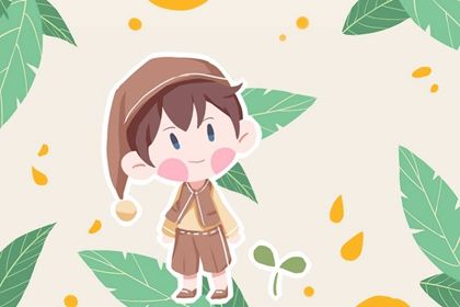 好听的男孩名字属兔 明年属兔男孩的名字