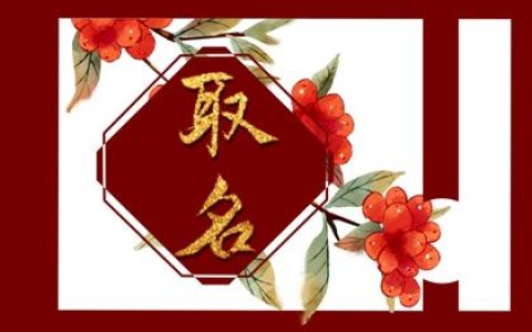 兔宝宝7月6日出生男孩起名鉴赏 有福气的属兔男生名字