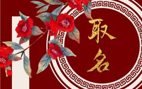 2023年属兔的宝宝取什么名字好一点 2023年兔宝宝起名