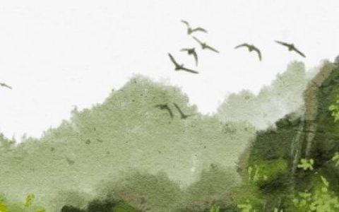 万姓虎宝宝男孩名字大全 两个字的名字怎么取