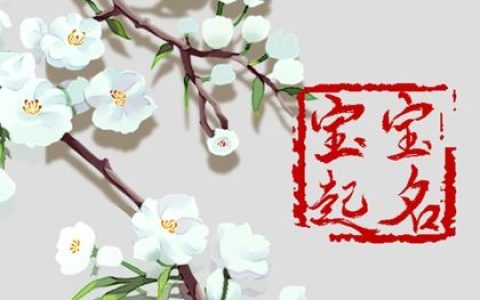虎年生人取名宜忌  虎年宝宝这样取名虎虎生威