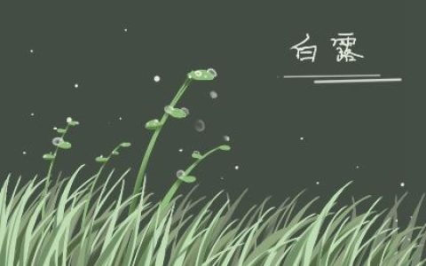 2022年白露出生的宝宝起名 白露节气取名宜用字