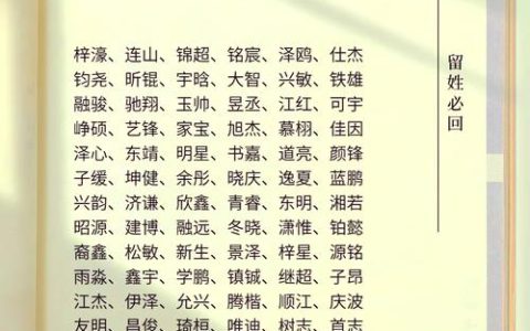 宝宝起名2025男宝取名 2025男孩起名技巧