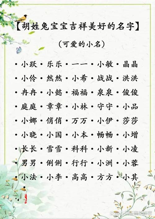 胡姓男孩兔宝宝起名 胡姓兔宝宝起名3月份