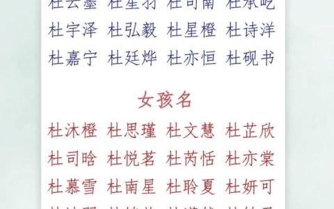 属龙杜姓男宝宝取名 杜姓取名有多惊艳