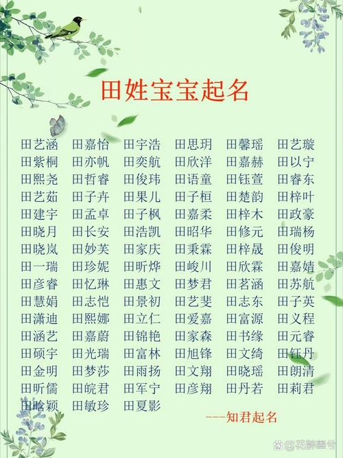 姓田怎么取昵称男宝宝起名 起名大全姓田男孩
