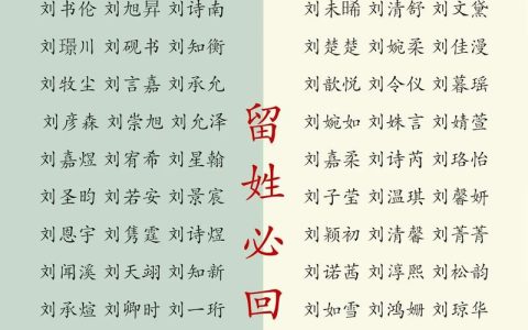 刘起名虎宝宝男孩名字大全 刘抒男孩名字