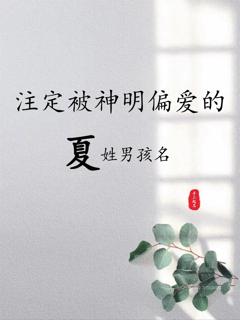 兔年宝宝取名男孩姓夏 兔年男孩名字大全集