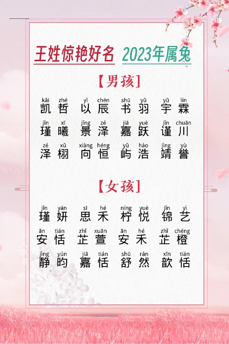 男孩名字兔宝宝姓王取名 兔宝宝姓王取名