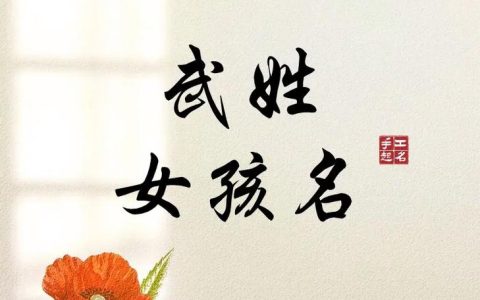 武姓虎宝宝女孩起名字大全 姓虎女孩起名大全押韵