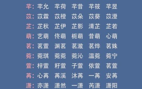 兔宝宝取名大全字辈