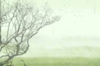 王者荣耀一个字的名字