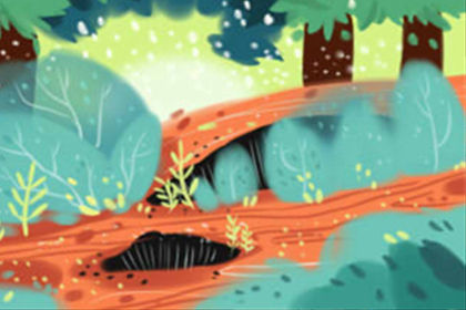 海贼王名字霸气的类型