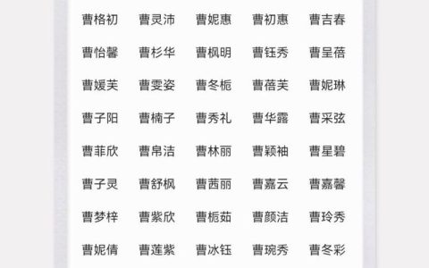 曹宝宝起名单名 曹取名男孩名字带水