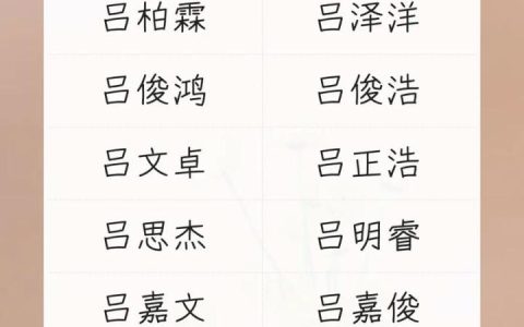 吕姓男孩起名鼠宝宝缺火 吕姓男孩起名鸡年