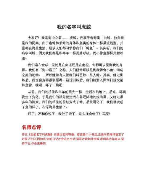 虎鲸宝宝起名字怎么样 鲸取名好吗