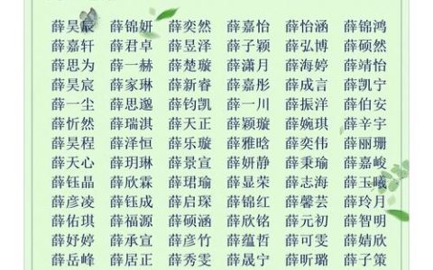 薛姓宝宝起名诗经名字怎么取 薛姓男孩起名排行榜