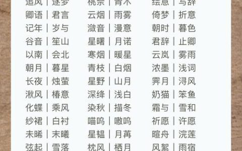 给情侣宝宝取名大全两字 给双胞胎男孩取名大全两字