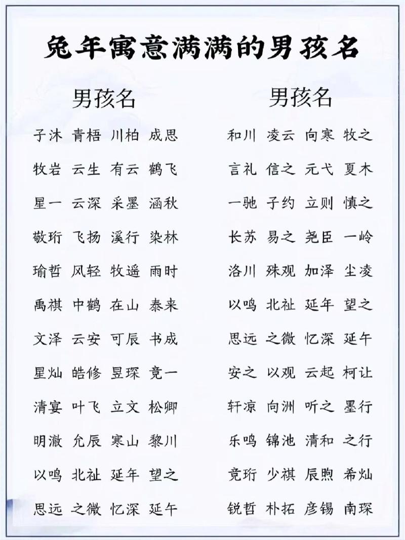 贺氏男兔宝宝起名字2025年 蛇年男孩名字专用