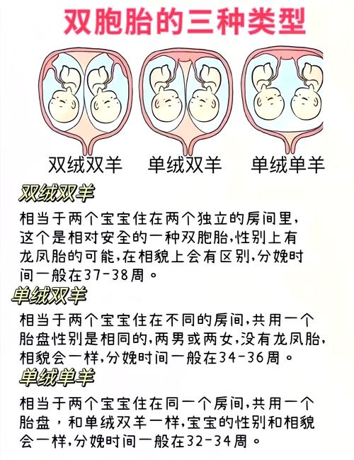 单绒双羊宝宝怎样取名 羊宝宝带蓉字取名