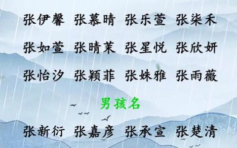 张李两姓取名男宝宝 姓张男孩双胞胎名字大全