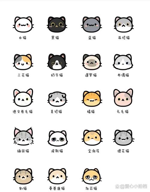 猫简笔画起名字女宝宝可爱 小猫名字简笔画