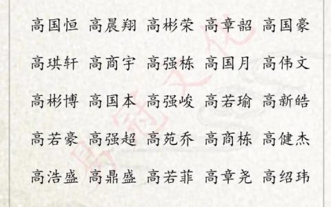 姓高猪年宝宝起名字男孩 猪年男孩名字大全文雅