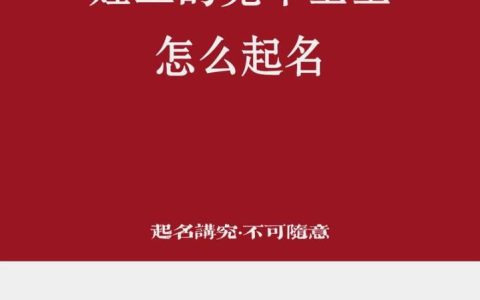 王氏免费兔宝宝取名 兔宝宝在线取名