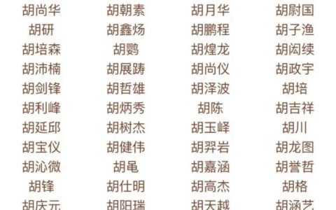 胡姓虎宝宝霸气起名字 胡姓英文名字