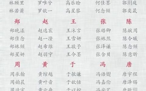 虢姓宝宝取名大全男孩 姓董男孩取名蛇年