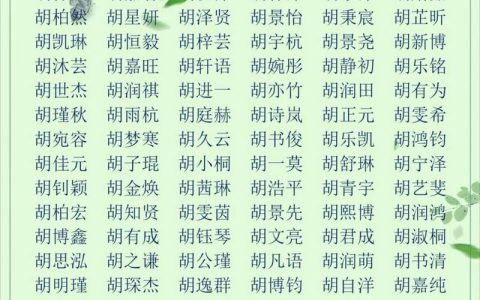 2025年胡姓宝宝取名 胡姓宝宝文雅取名
