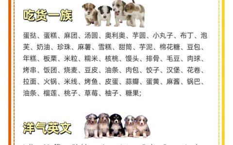 护卫犬起名字推荐男狗宝宝 小型犬名字大全集