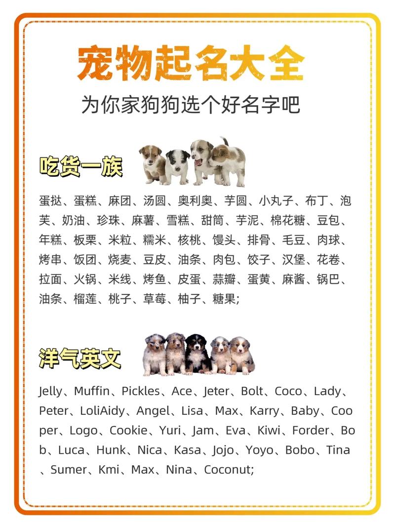 护卫犬起名字推荐男狗宝宝 小型犬名字大全集