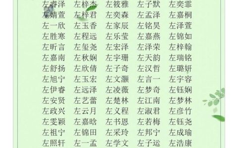 左姓起名两字男宝宝 左姓取名2025年男宝