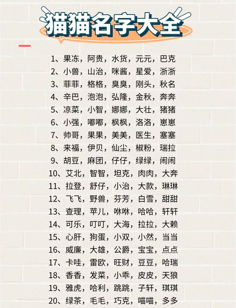 姓田猫咪起名字男宝宝可爱 起司猫咪起名字大全