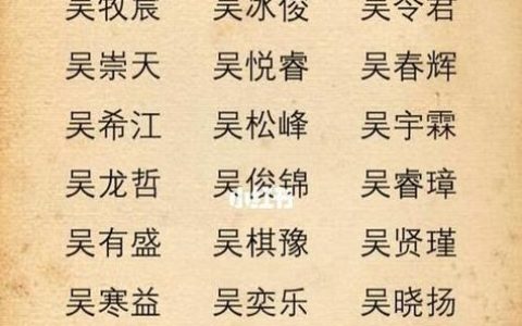 吴姓鼠宝宝起名男孩名字 08年属鼠最旺男孩名字