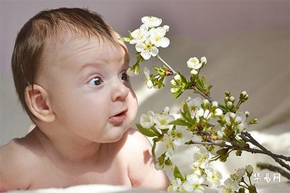 025年出生男孩多还是女孩多"