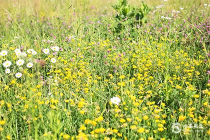 女孩子名字蛇年取名大全,2025女蛇宝宝取名字最佳字