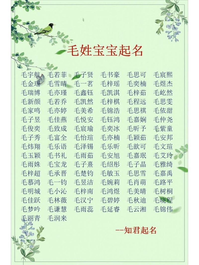 姓毛男宝宝怎么起名字 姓毛的男孩名字两个字