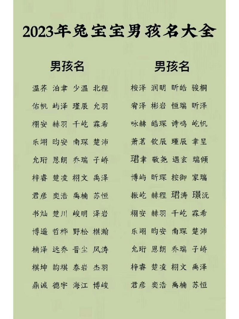 扈宝宝起名兔年男孩名字 蛇年男孩名字专用