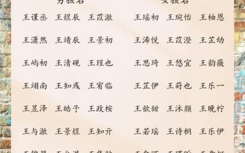猪年姓王宝宝起名 宝宝起名王乾宇能打多少分